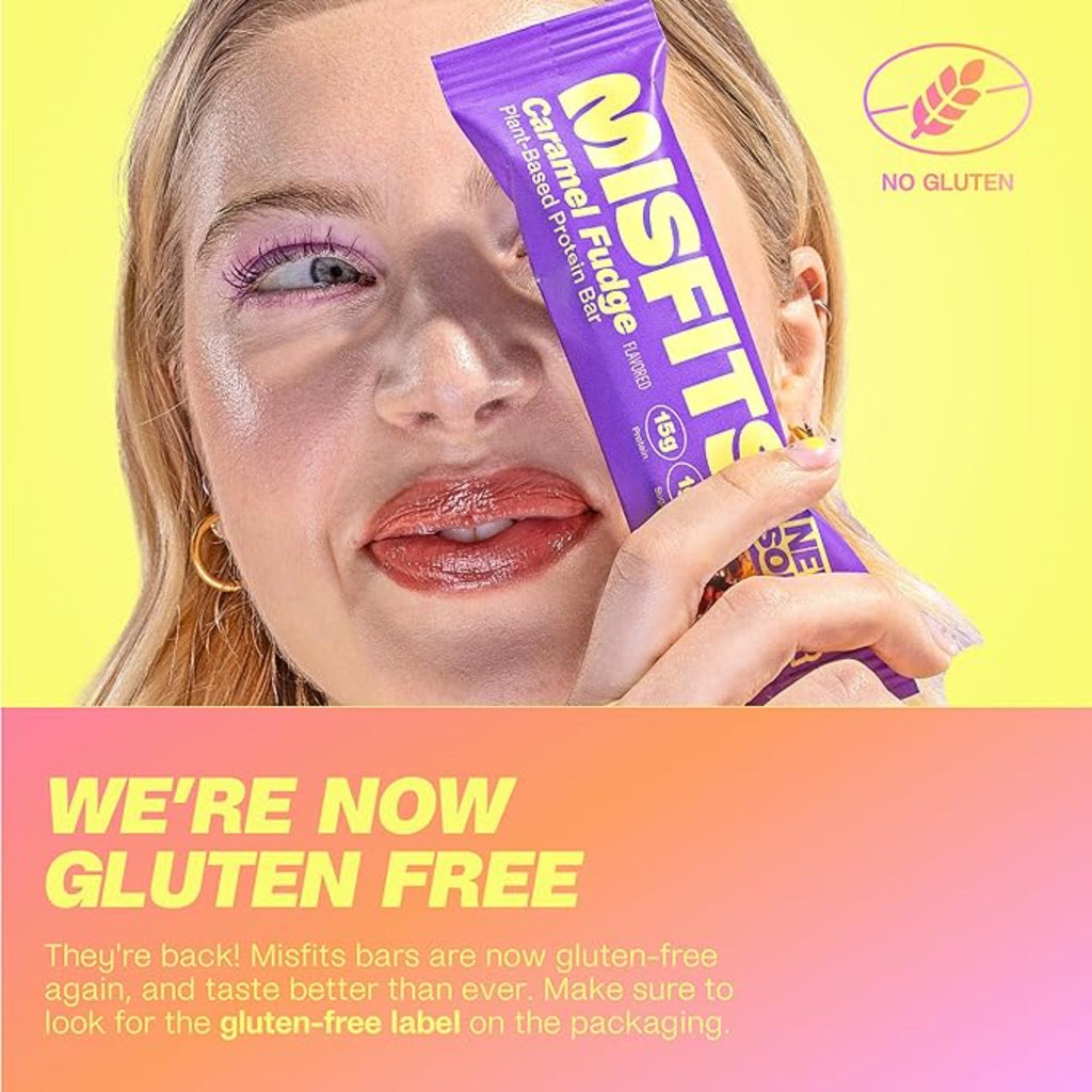 Misfits Vegan Protein Bars  Variety Pack of 12 (4 Flavors)