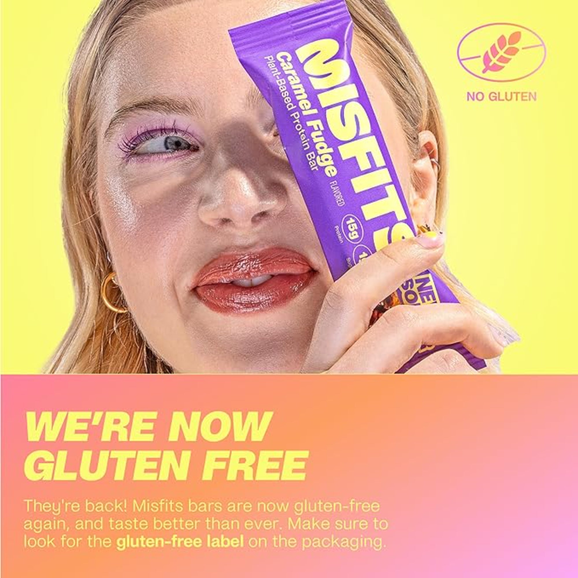 Misfits Vegan Protein Bars  Variety Pack of 12 (4 Flavors)