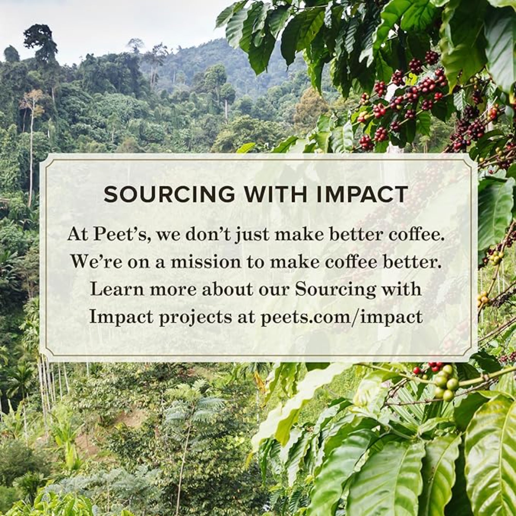 Peet's Coffee, Dark Roast Major Dickason's Blend 75 Pods