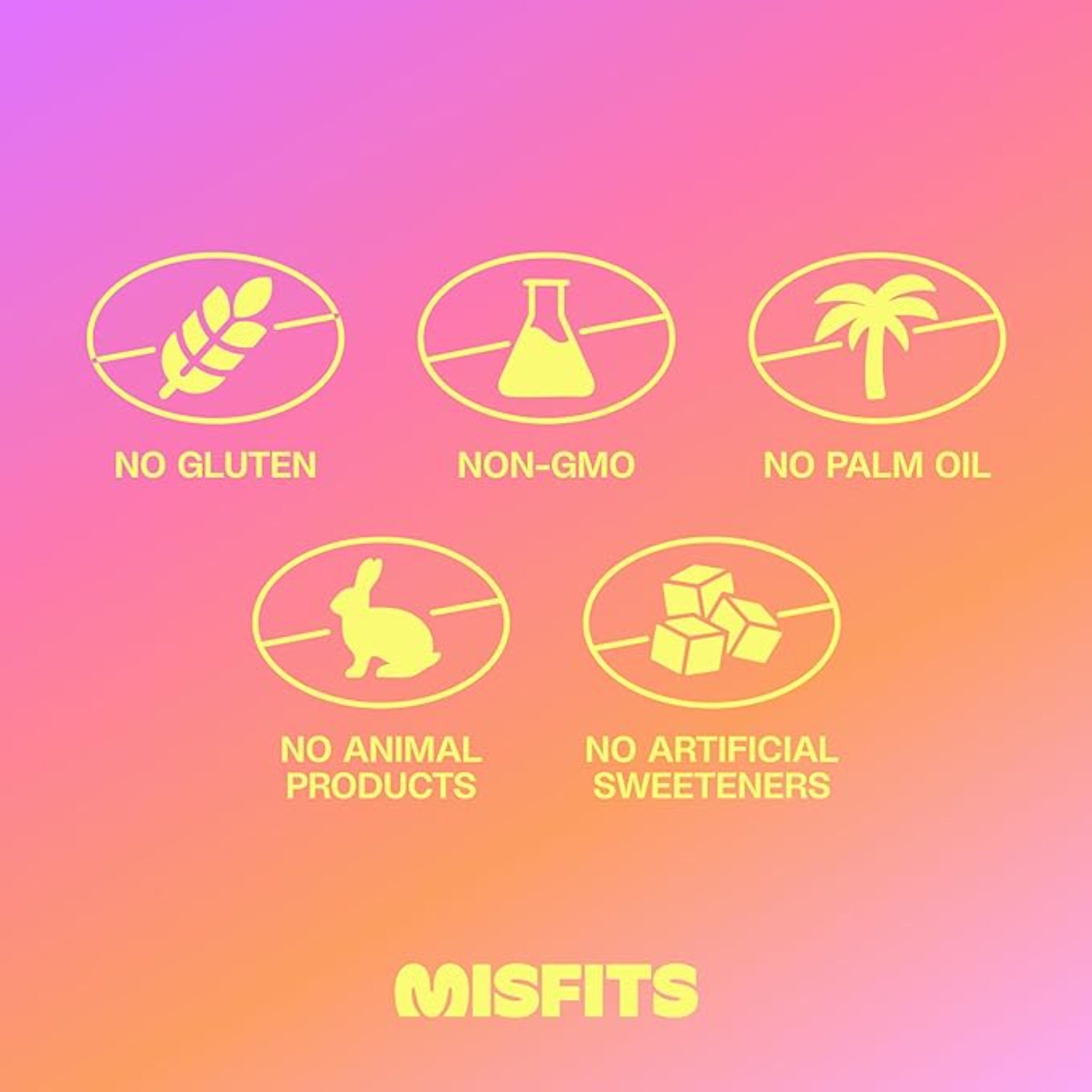 Misfits Vegan Protein Bars  Variety Pack of 12 (4 Flavors)